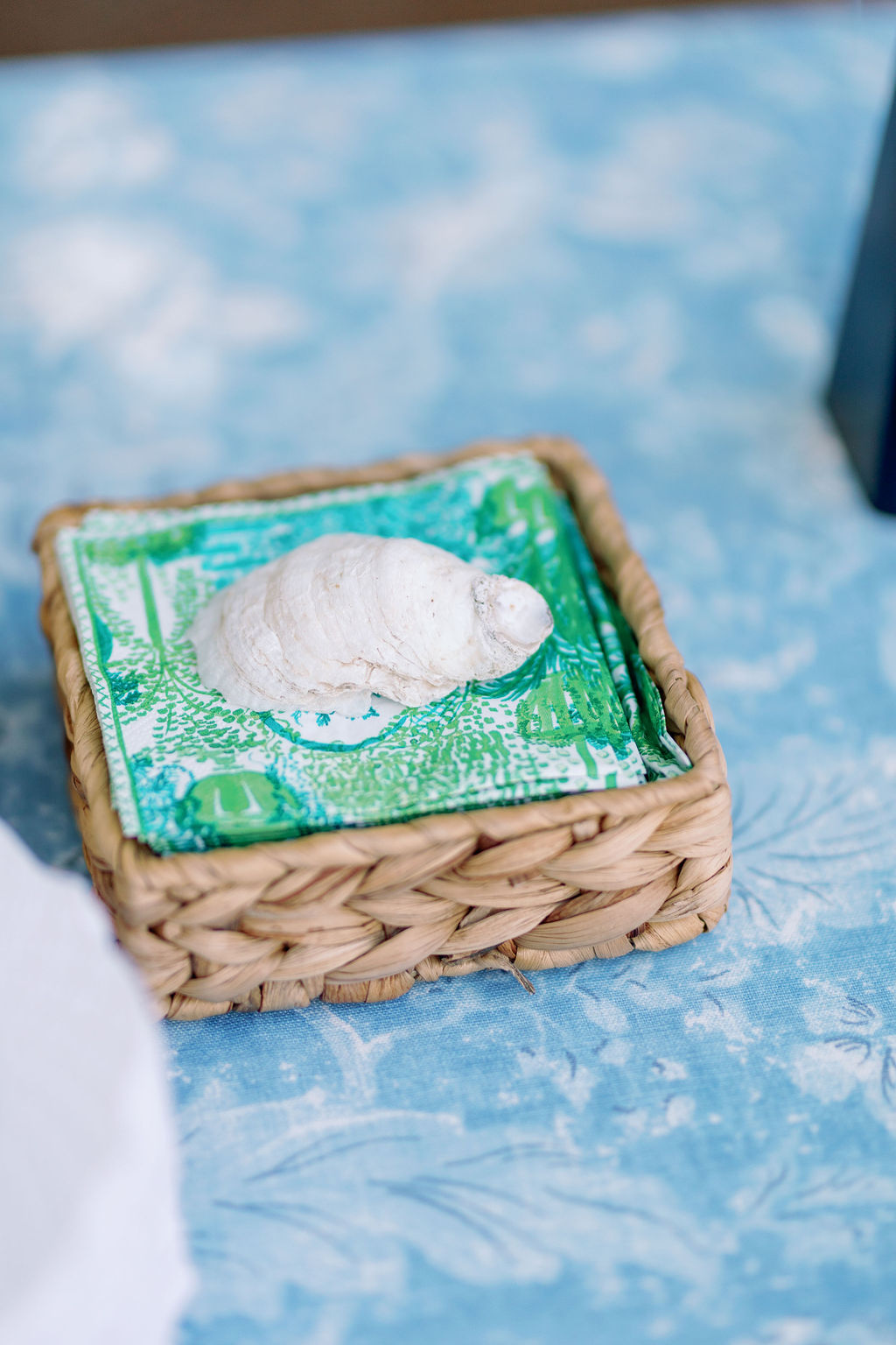 Intimate Savannah Backyard Wedding reception cocktail hour