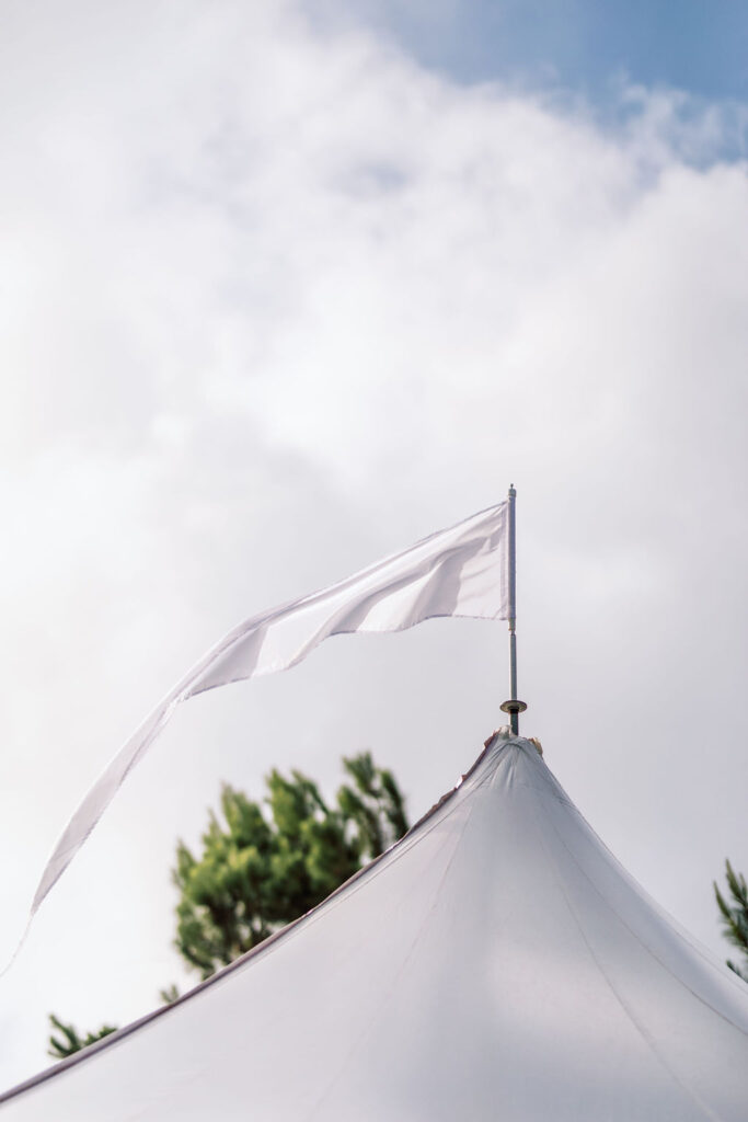 Savannah Backyard Wedding tent details 
